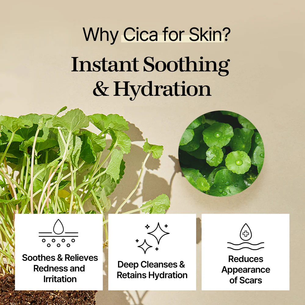 Centella Toner Pad (120 Pads) – Almohadillas Calmantes e Hidratantes