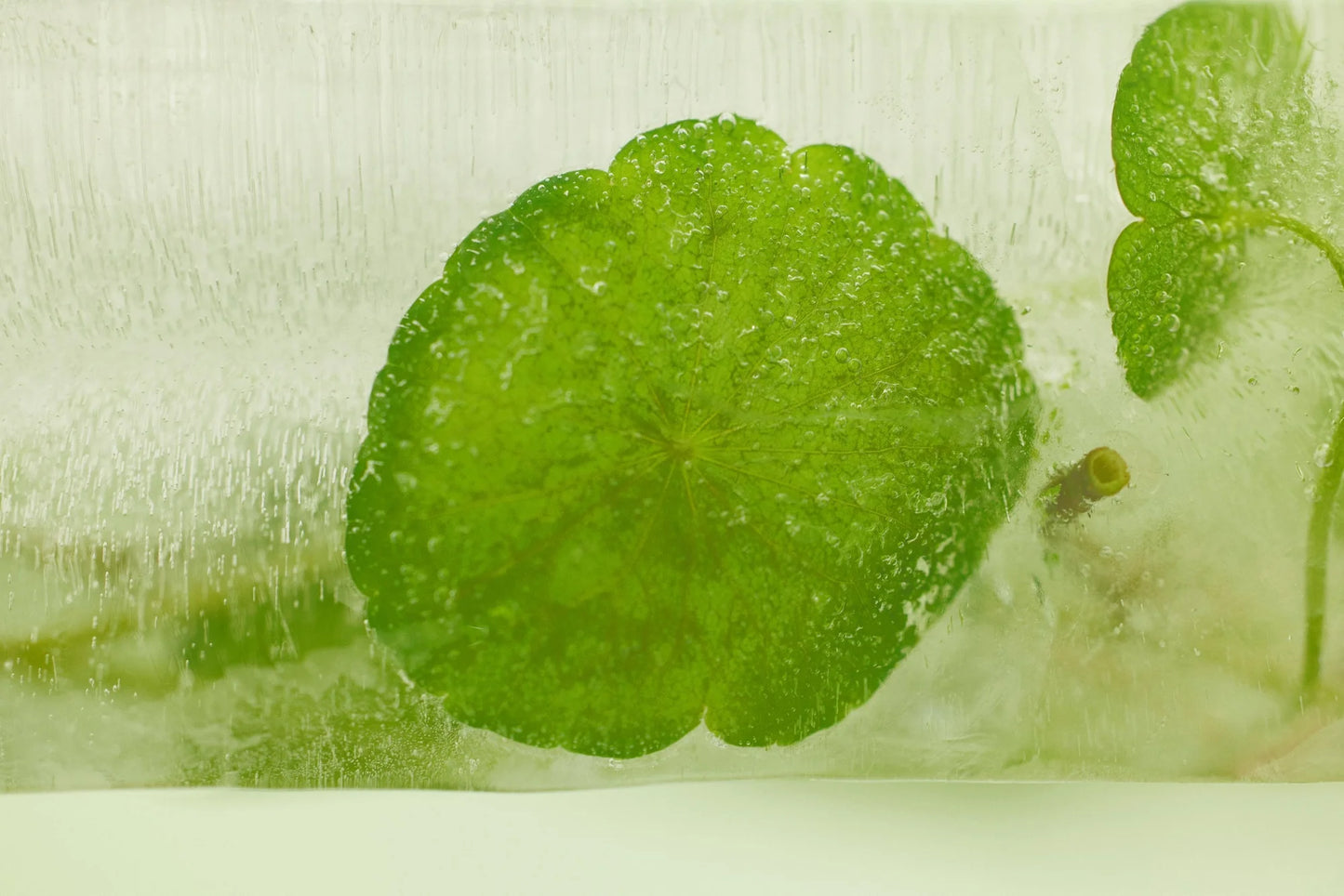 Calming Boosting Mist (50 ml) – Bruma Hidratante y Calmante